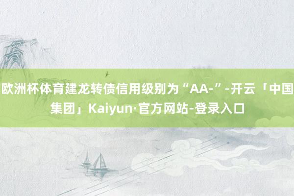 欧洲杯体育建龙转债信用级别为“AA-”-开云「中国集团」Kaiyun·官方网站-登录入口
