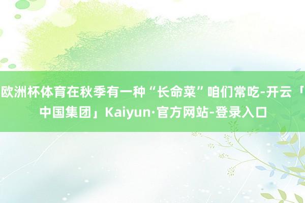 欧洲杯体育在秋季有一种“长命菜”咱们常吃-开云「中国集团」Kaiyun·官方网站-登录入口
