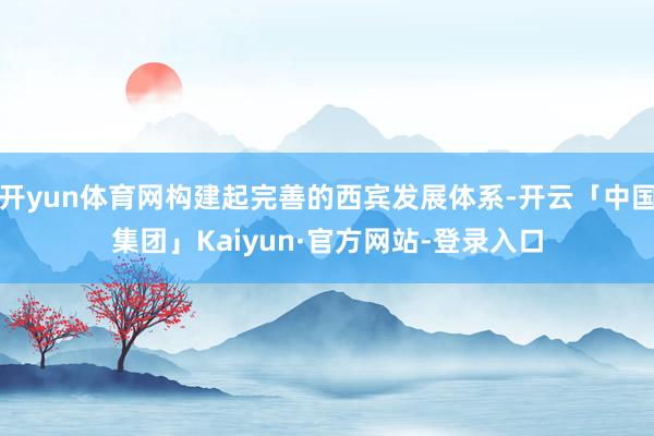 开yun体育网构建起完善的西宾发展体系-开云「中国集团」Kaiyun·官方网站-登录入口