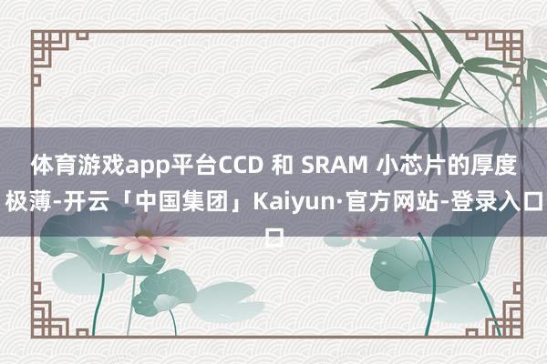 体育游戏app平台CCD 和 SRAM 小芯片的厚度极薄-开云「中国集团」Kaiyun·官方网站-登录入口