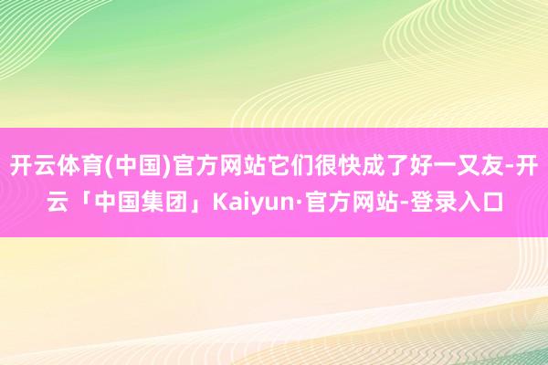 开云体育(中国)官方网站它们很快成了好一又友-开云「中国集团」Kaiyun·官方网站-登录入口