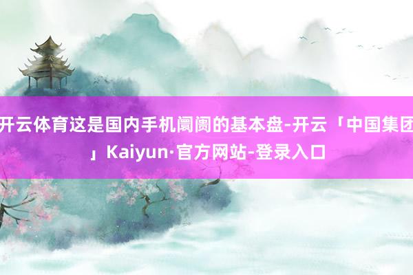 开云体育这是国内手机阛阓的基本盘-开云「中国集团」Kaiyun·官方网站-登录入口