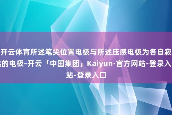 开云体育所述笔尖位置电极与所述压感电极为各自寂然的电极-开云「中国集团」Kaiyun·官方网站-登录入口