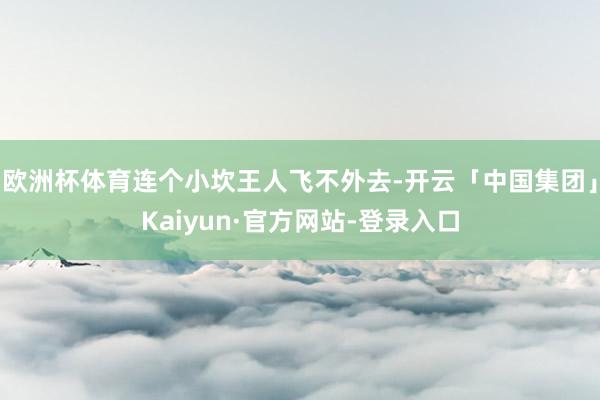 欧洲杯体育连个小坎王人飞不外去-开云「中国集团」Kaiyun·官方网站-登录入口