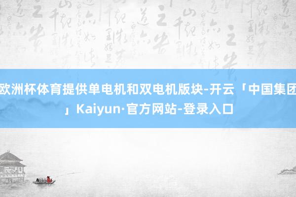 欧洲杯体育提供单电机和双电机版块-开云「中国集团」Kaiyun·官方网站-登录入口