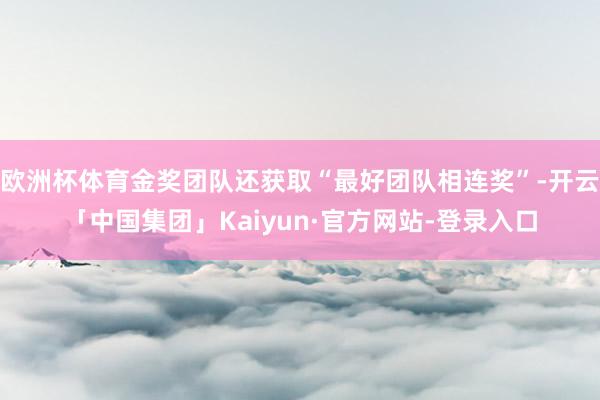 欧洲杯体育金奖团队还获取“最好团队相连奖”-开云「中国集团」Kaiyun·官方网站-登录入口