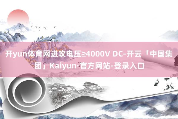 开yun体育网进攻电压≥4000V DC-开云「中国集团」Kaiyun·官方网站-登录入口